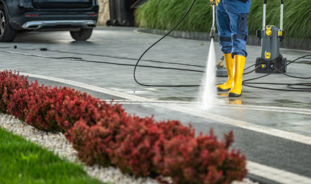 Best Commercial Building Pressure Washing  in Mascot, TN