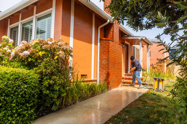 Best Pressure Washing Services Near Me  in Mascot, TN